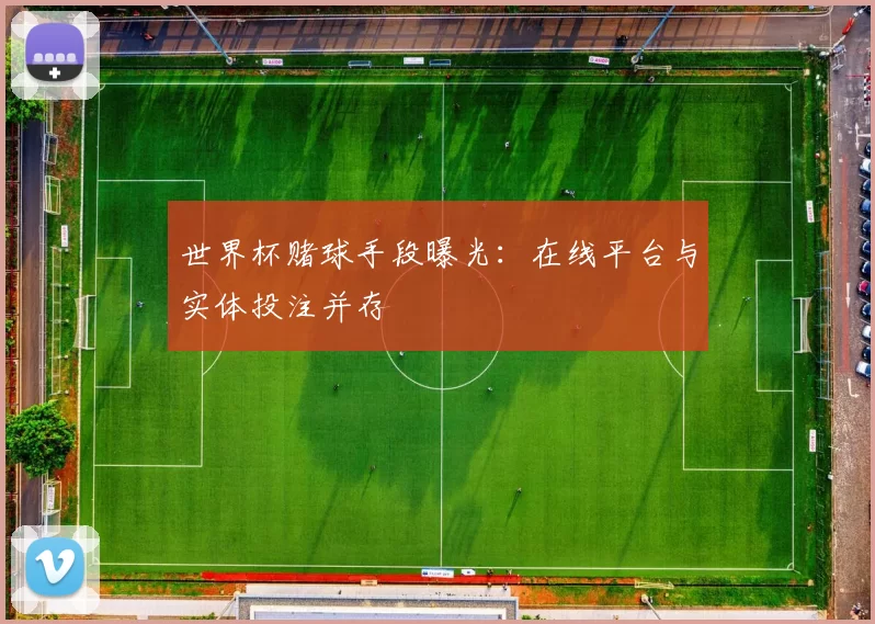 世界杯赌球手段曝光：在线平台与实体投注并存