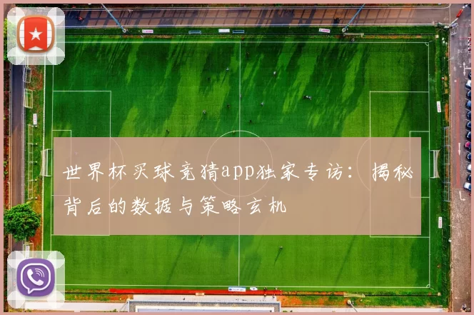 世界杯买球竞猜app独家专访:揭秘背后的数据与策略玄机