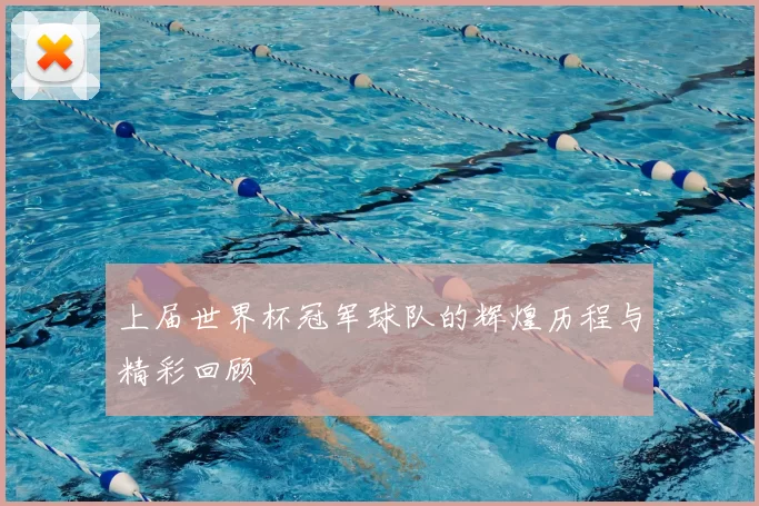 上届世界杯冠军球队的辉煌历程与精彩回顾