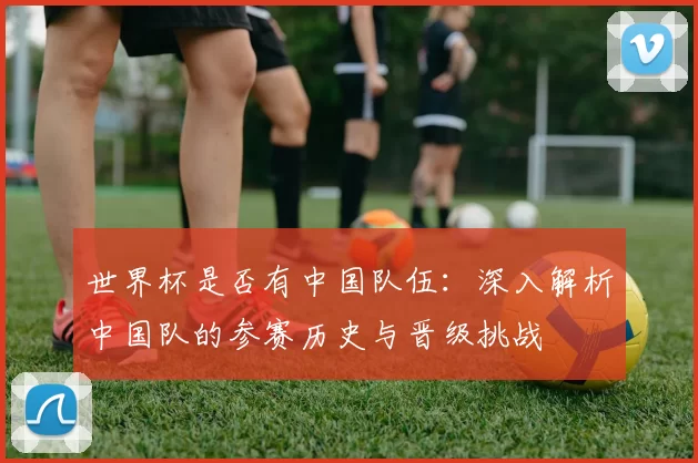 世界杯是否有中国队伍:深入解析中国队的参赛历史与晋级挑战