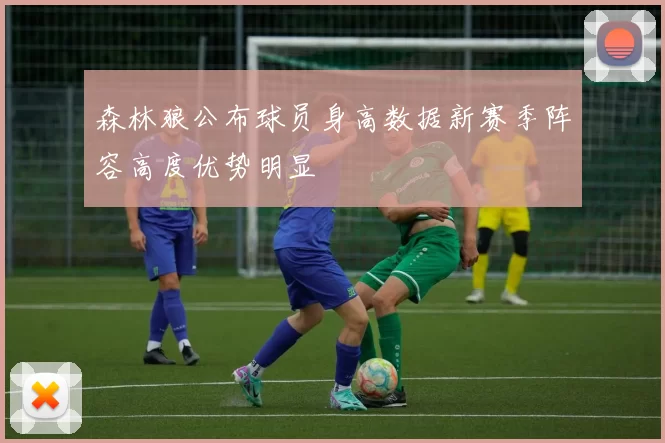 森林狼公布球员身高数据新赛季阵容高度优势明显