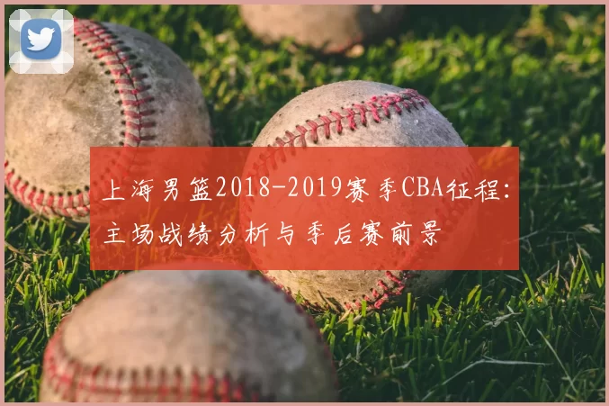 上海男篮2018-2019赛季CBA征程:主场战绩分析与季后赛前景