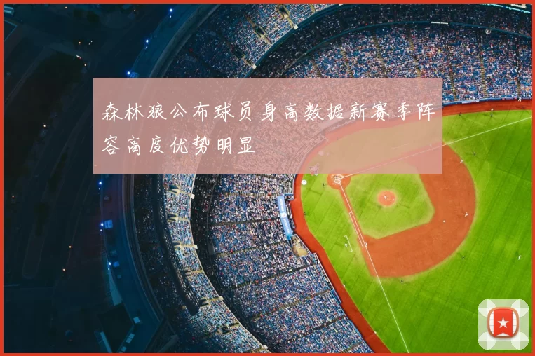 森林狼公布球员身高数据新赛季阵容高度优势明显