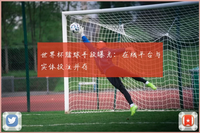 世界杯赌球手段曝光:在线平台与实体投注并存