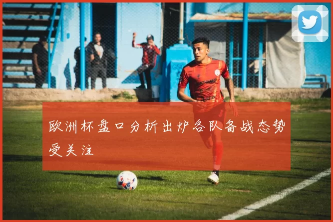 欧洲杯盘口分析出炉各队备战态势受关注